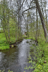 Countryside landscape view of old river flowing through small forest.