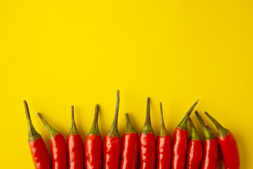 spicy red chili pepper on yellow background