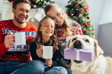 dog holding gift near near joyful family in sweaters with cups in hands on blurred background