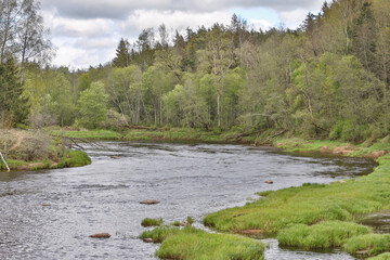 Landscape view of river Gauja on a warm, cloudy spring day.