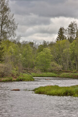 Landscape view of river Gauja on a warm, cloudy spring day.