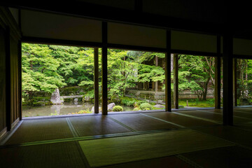 Fototapeta premium 初夏の蓮華寺の風景