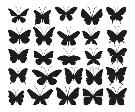 Big set of vector silhouettes of butterflies. Black silhouettes of insects with large wings.Templates and stencils for design, luxury beauty studio,logo make-up, branding, makeup artist or hairdresser