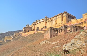 Amer Fort Unesco World Heritage Site Jaipur Rajasthan India
