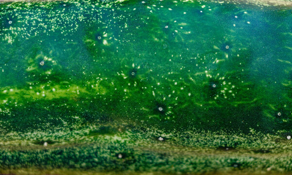 Macro Texture d'un comcombre