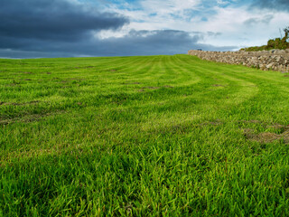 Freshly cut grass in a park field with tractor track traces, Selective focus. Nobody. Blue cloudy sky, Park maintenance concept
