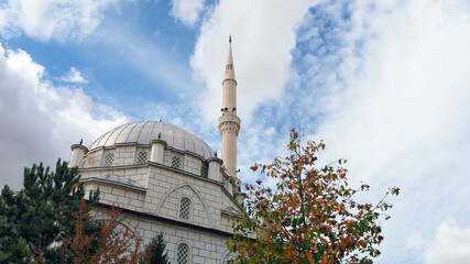 turkey in the neighborhood of a neighborhood mosque, minaret and long-domed mosque,