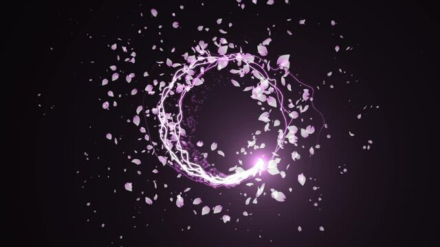 pink sakura stroke line particle animation