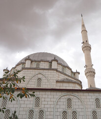 turkey in the neighborhood of a neighborhood mosque, minaret and long-domed mosque,