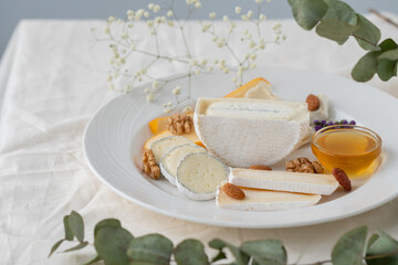 Various types of cheese with nuts and honey in a white plate on a light table decorated with a branch of eucalyptus. Restaurant