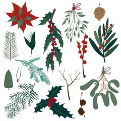 Vector collection of Christmas plants. Hand drawn set of winter festive flowers, branches, twig, berries, pines and other greenery isolated on white background. Stylish flat elements for your 
design.