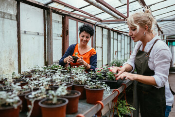 women working in green house nursery