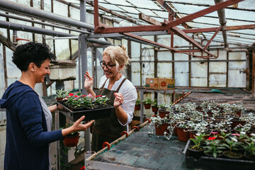 women working in green house nursery