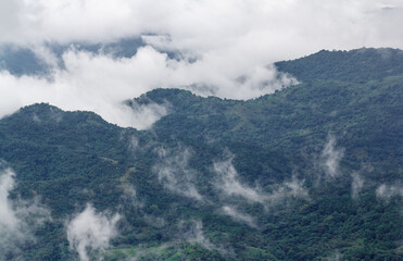 mountain and mist in Phu Tab Berk, Thailand
