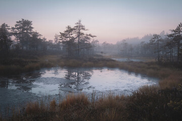 Small lake at foggy  dawn in autumn. Moody landscape. Swamp Ozernoye National Park in Leningrad Region Russia.