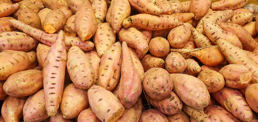 A lot of fresh sweet potatoes texture