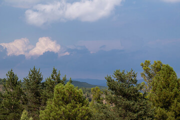 Clouded evening sky over a mediterranean forest