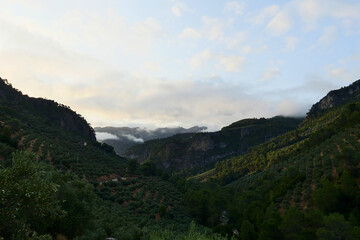 Naklejka premium Mediterranean landscape. 