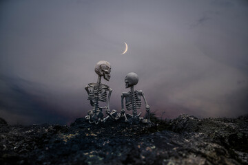 Pair of Skeletons Sitting on Mountain Top Watching Crescent Moon