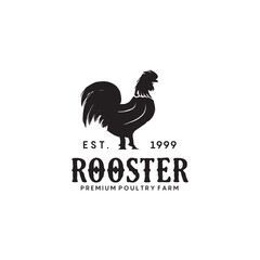 Fototapeta na wymiar Vintage rooster logo design template