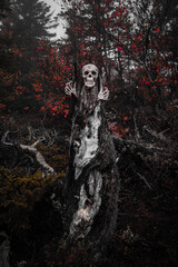 Skull and Skeleton Hands Coming Out of Creepy Tree