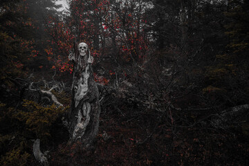 Skull and Skeleton Hands Coming Out of Creepy Tree