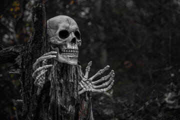 Skull and Skeleton Hands Coming Out of Creepy Tree