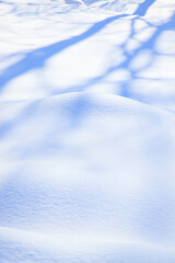 雪原の影