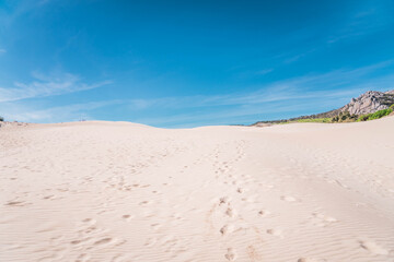 Fototapeta na wymiar playa, descrito, dunas