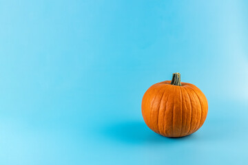 Halloween autumn fresh nice ornamental pumpkin decorations on a blue color background