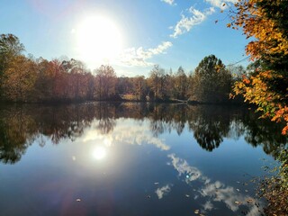 autumn morning at the lake