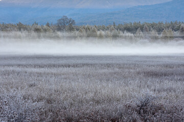 栃木県の日光、小田代ヶ原の風景（晩秋の早朝、日の出前）