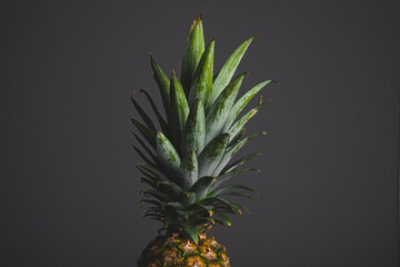 pineapple on black background