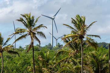 wind turbines and palm trees against sky - Barra de Camaratuba - Paraíba