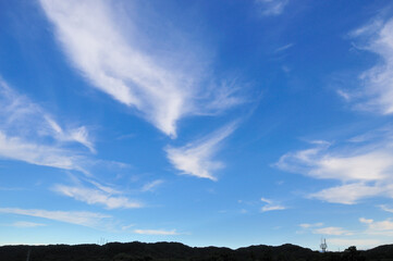 青空と白い雲