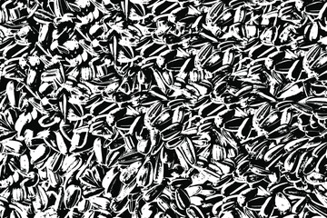 Grunge texture of sunflower seeds background. Abstract monochrome background of small sunflower. Natural seeds. Vector illustration. Overlay template.