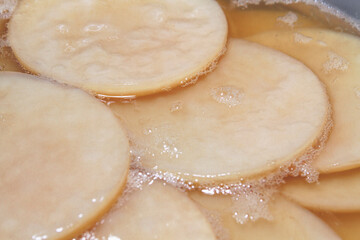 Close-up fresh scoby (symbiotic culture of bacteria and yeast) kombucha image 