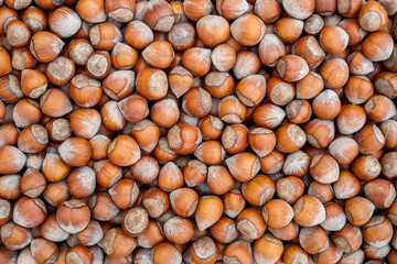 background of hazelnuts