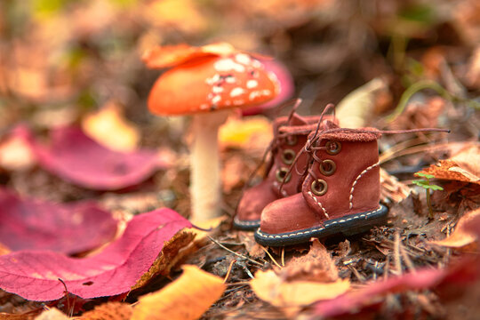 Cute handmade leather shoes for a fabulous creature stand in the woods