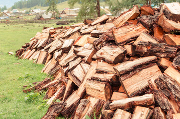 Firewood is stacked in autumn. Chopped pile of wood. Lots of wood from logs. Preparation of firewood for the winter. background texture pattern with stacked dry chopped firewood. Trees in the sawmill