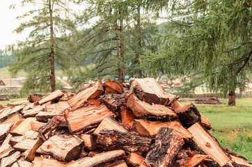Firewood is stacked in autumn. Chopped pile of wood. Lots of wood from logs. Preparation of firewood for the winter. background texture pattern with stacked dry chopped firewood. Trees in the sawmill