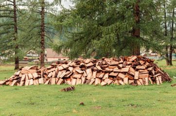 Firewood is stacked in autumn. Chopped pile of wood. Lots of wood from logs. Preparation of firewood for the winter. background texture pattern with stacked dry chopped firewood. Trees in the sawmill