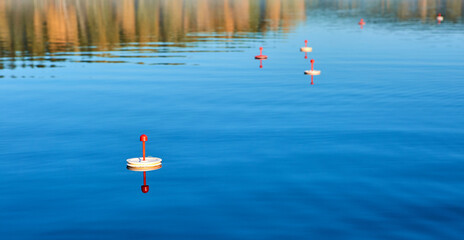 Fishing circle on the water to catch predatory fish. A fascinating quiet way of fishing