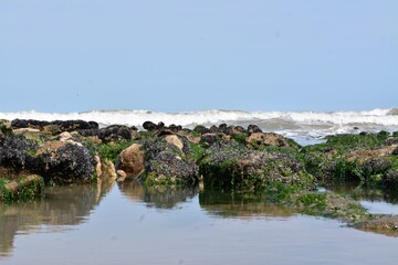peque&ntilde;os arrecifes