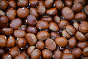 La châtaigne - Aliment riche en fibres, en fer, en vitamine C, et en magnésium
