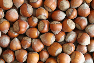 hazelnuts