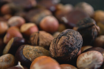 Walnut close up