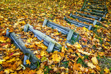 wooden steps at a forest