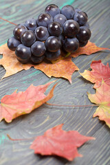 Bunches of dark blue grapes. Nearby are autumn maple leaves. Against the background of pine boards,...