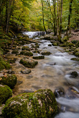 beautiful mountain stream with small waterfall in autumn forest landscape